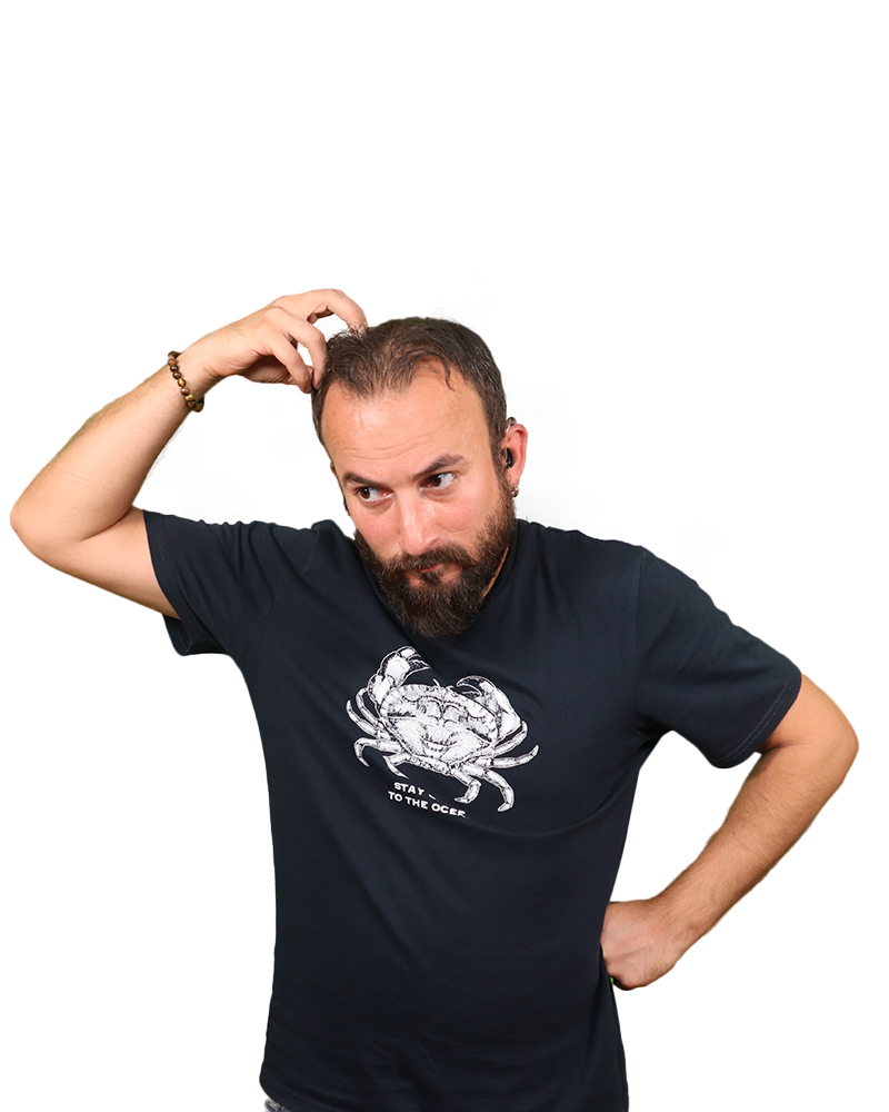 bestwpdeveloper
