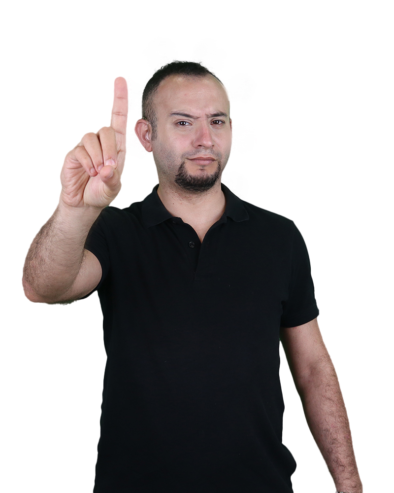 bestwpdeveloper