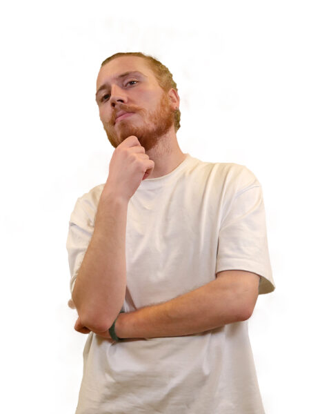 bestwpdeveloper